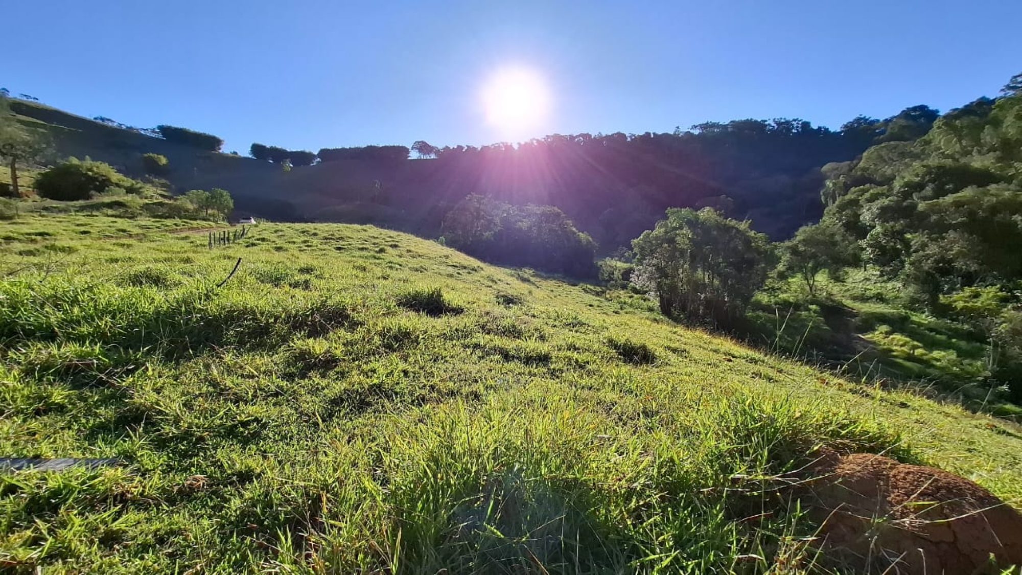 inbound6274145628473936360