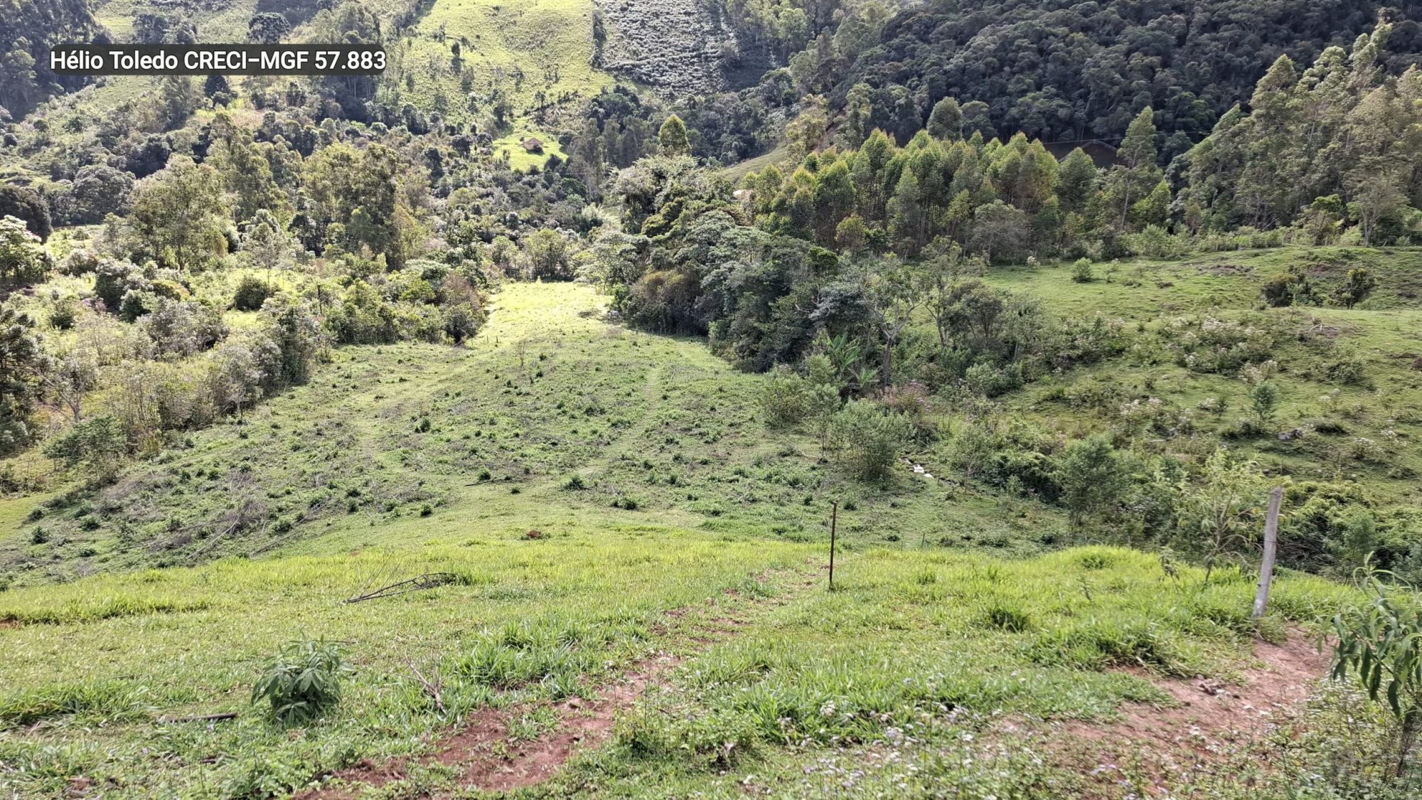 inbound6403219407369329725