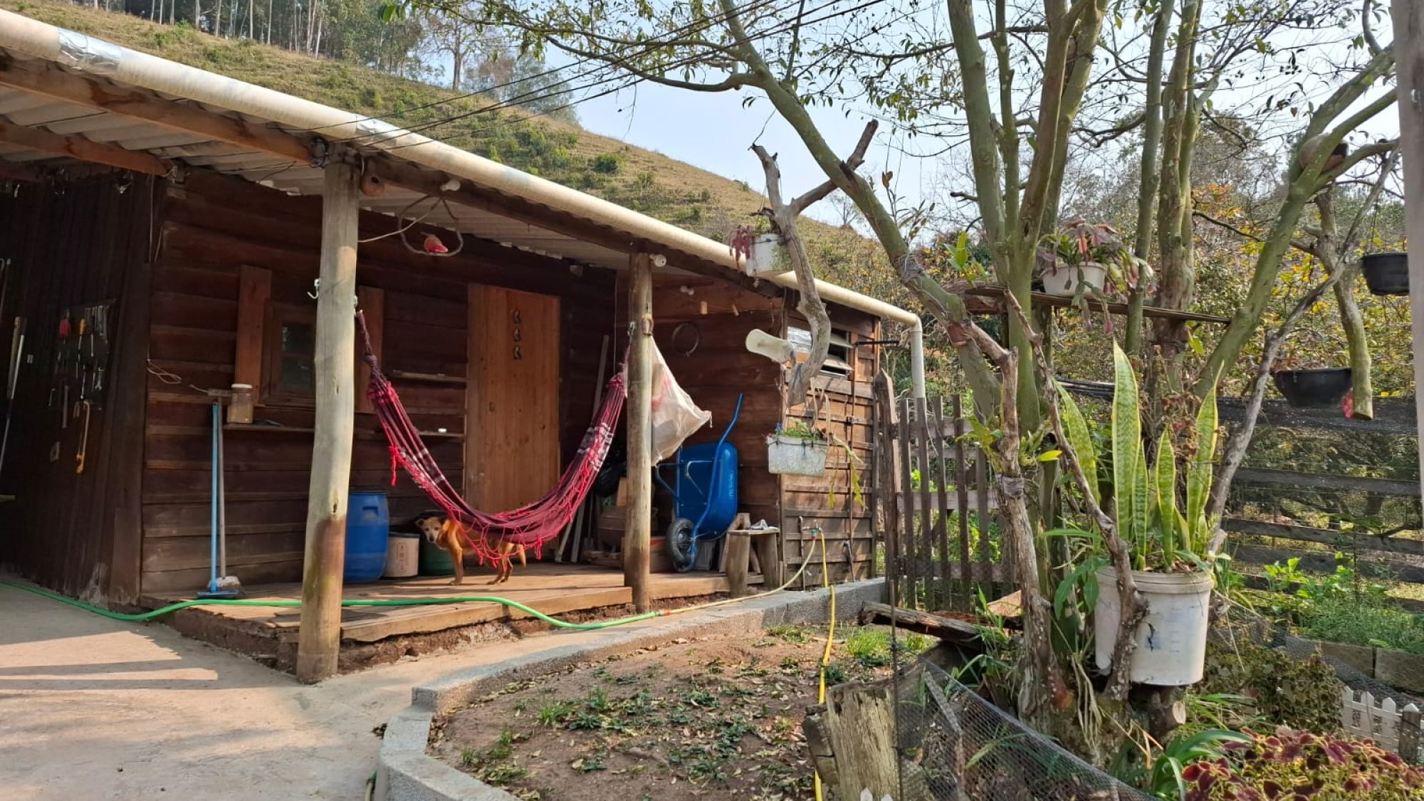 inbound641047617150578714