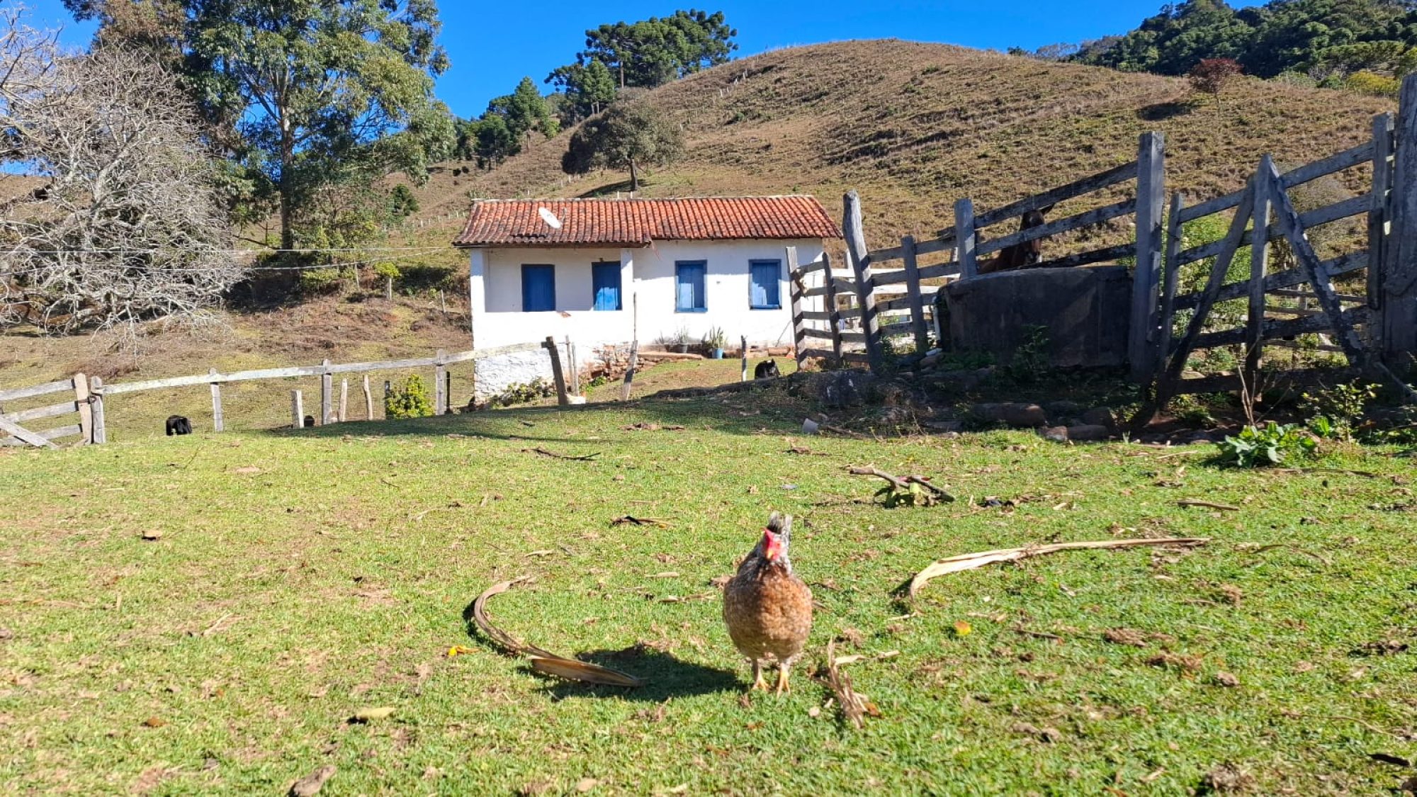 inbound663845791132727075