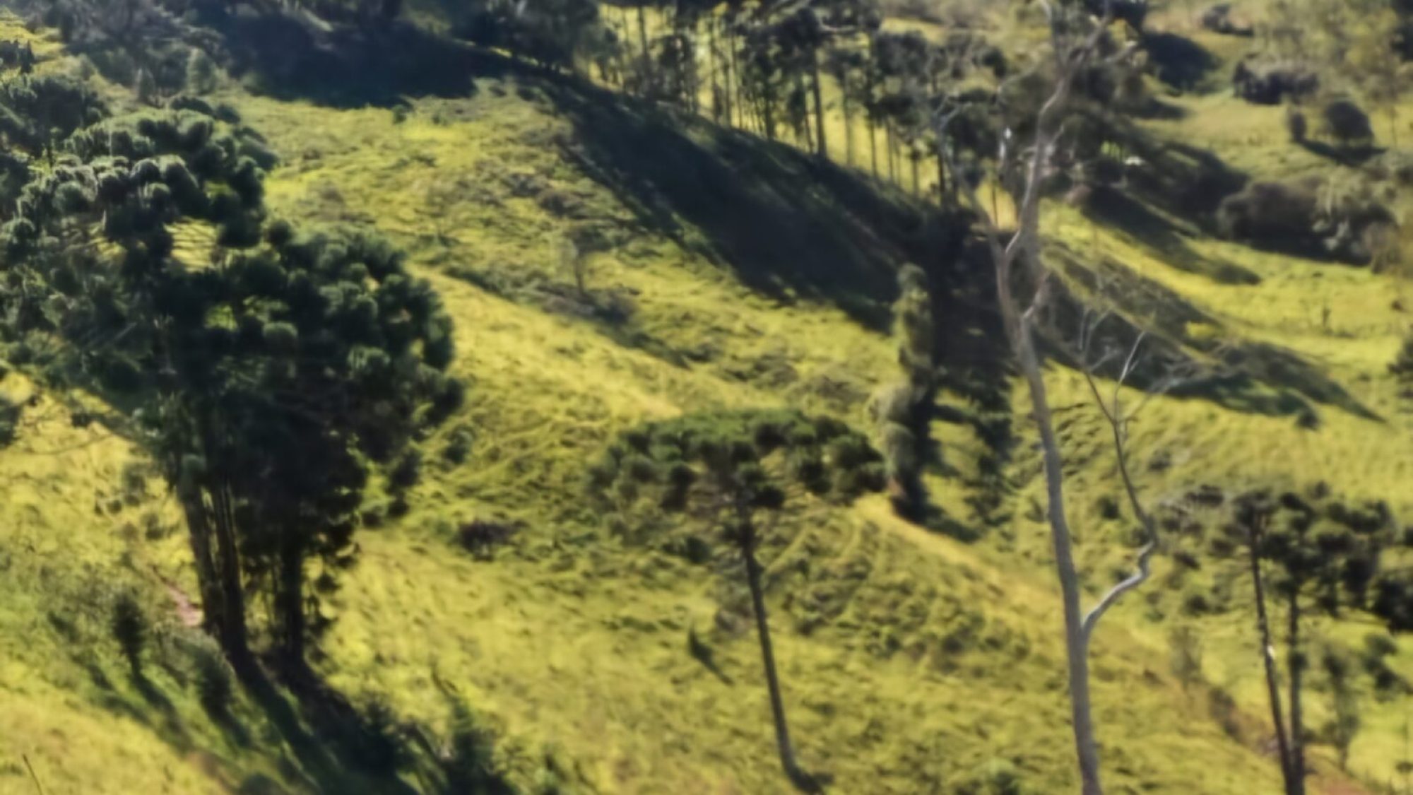 inbound6785829298935714208