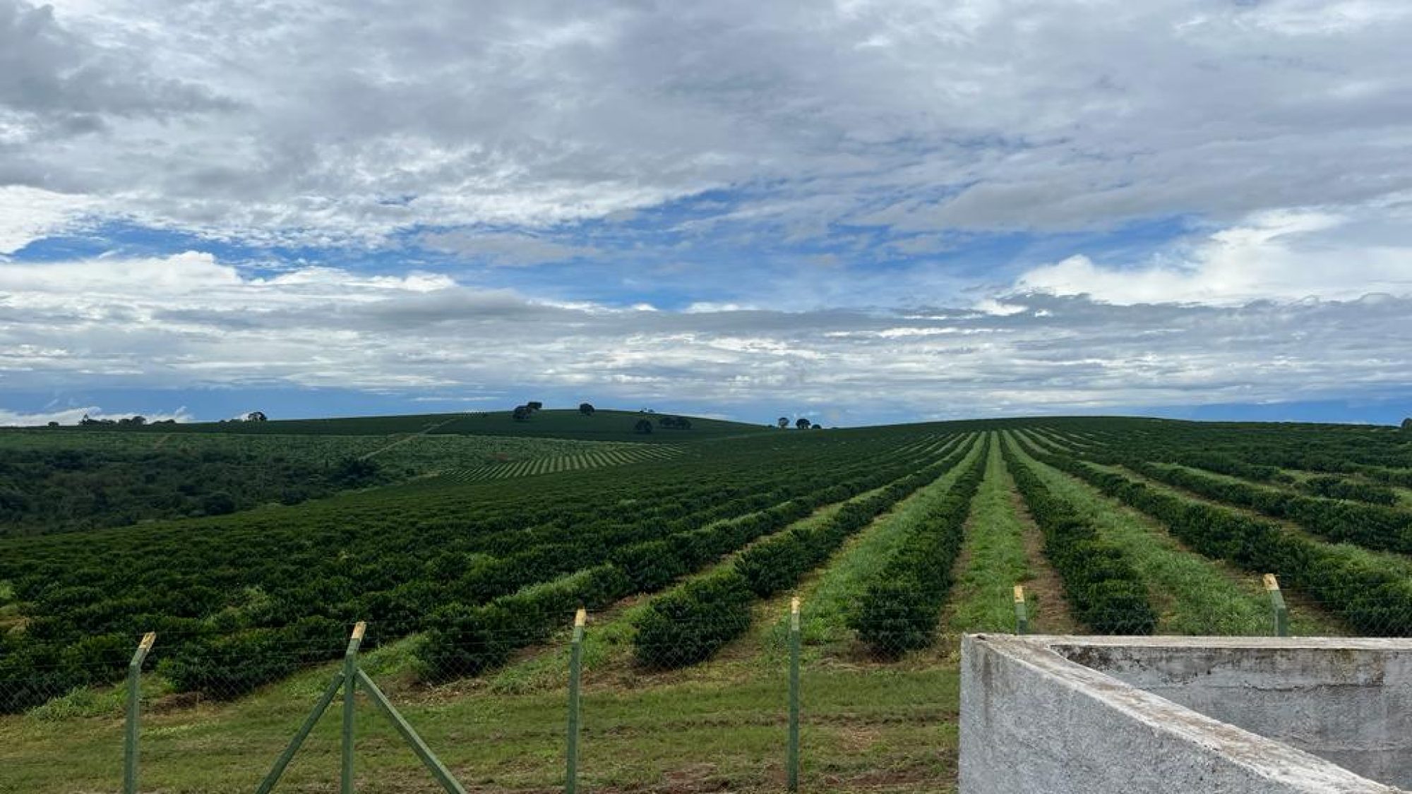 inbound6881228621856318737