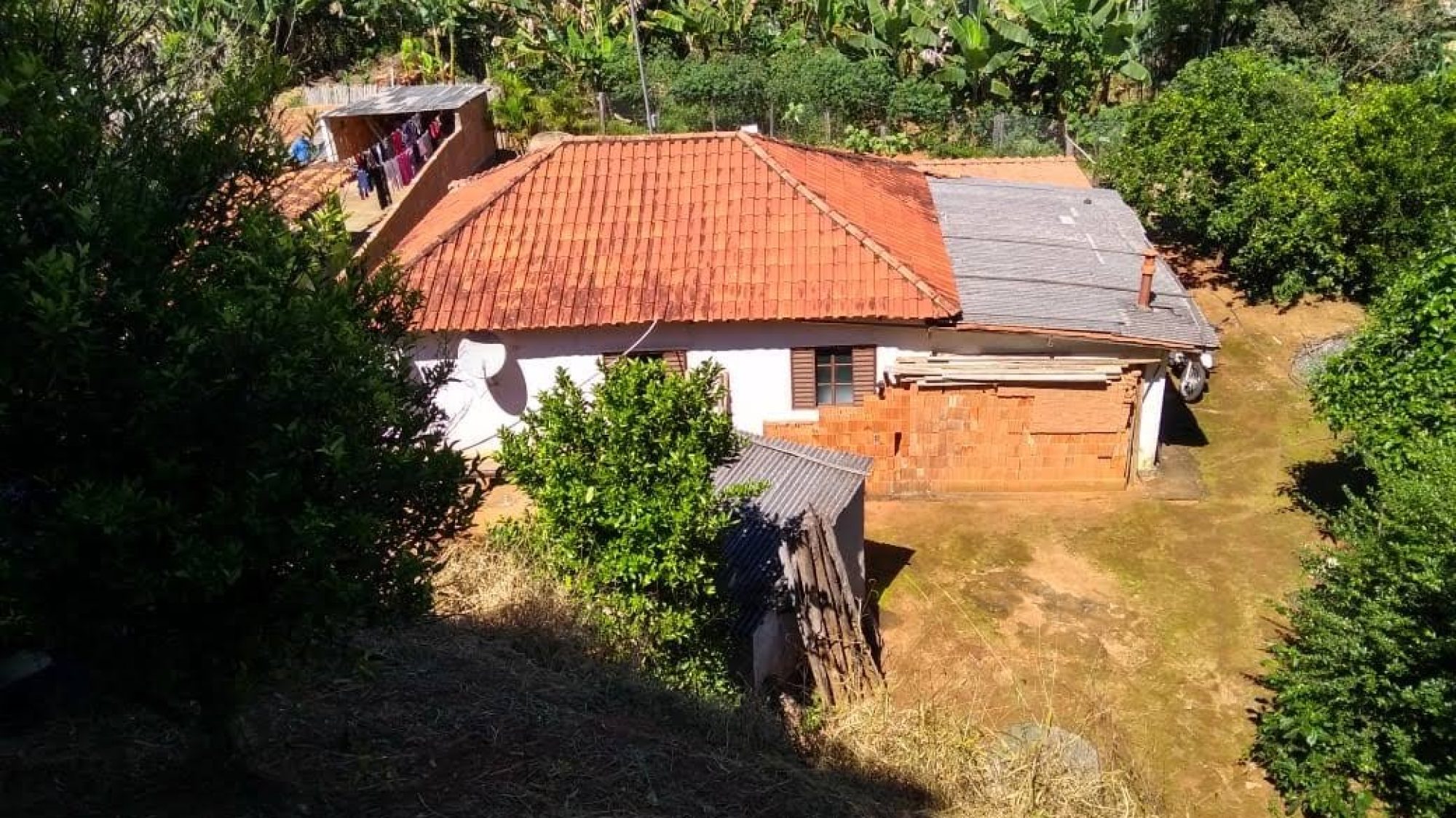 inbound6980115616419256679