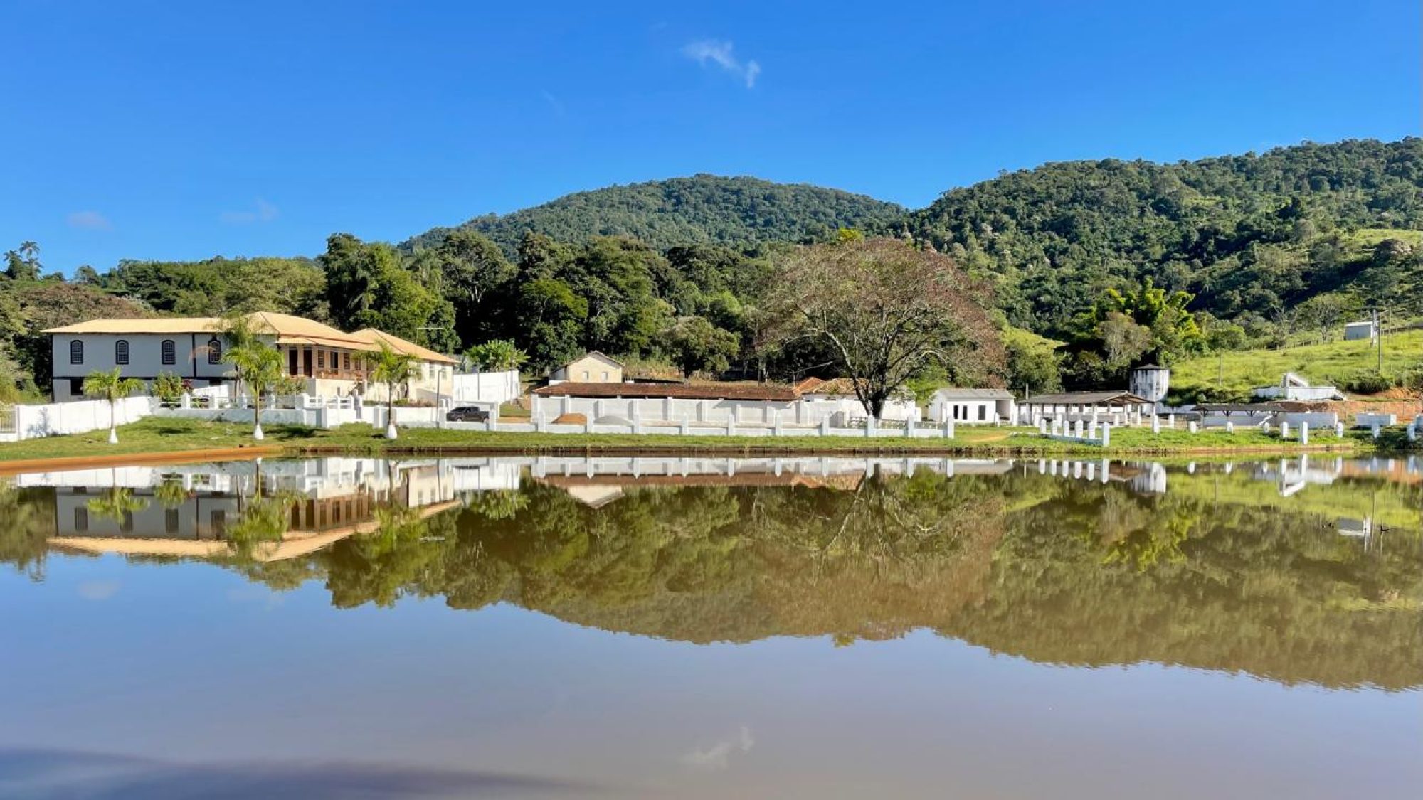 inbound7173383555266968199