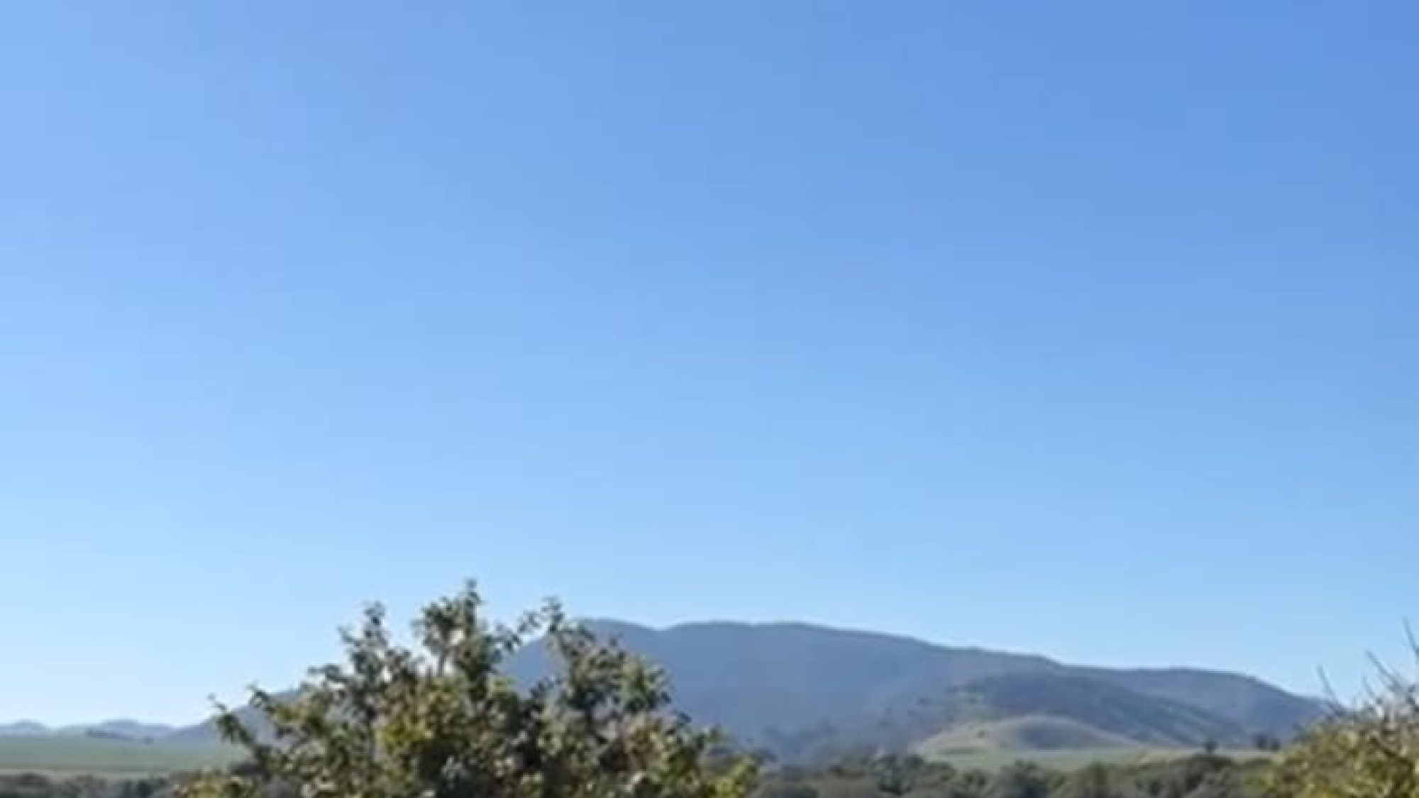 inbound7203655703586999038