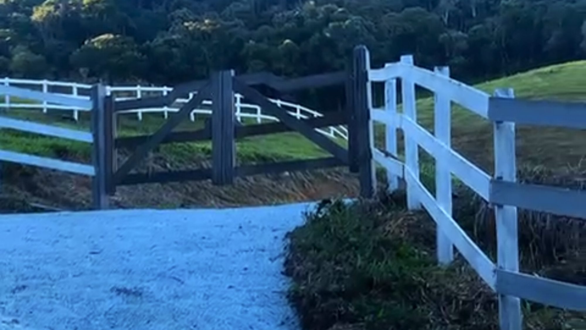 inbound7293313253365236032