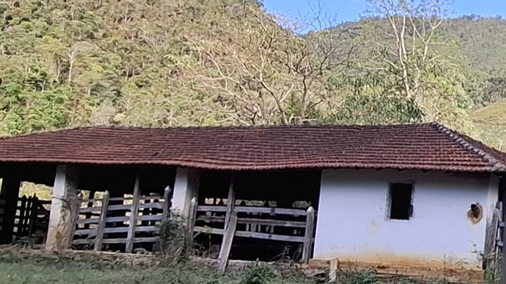 inbound7335357519859203340