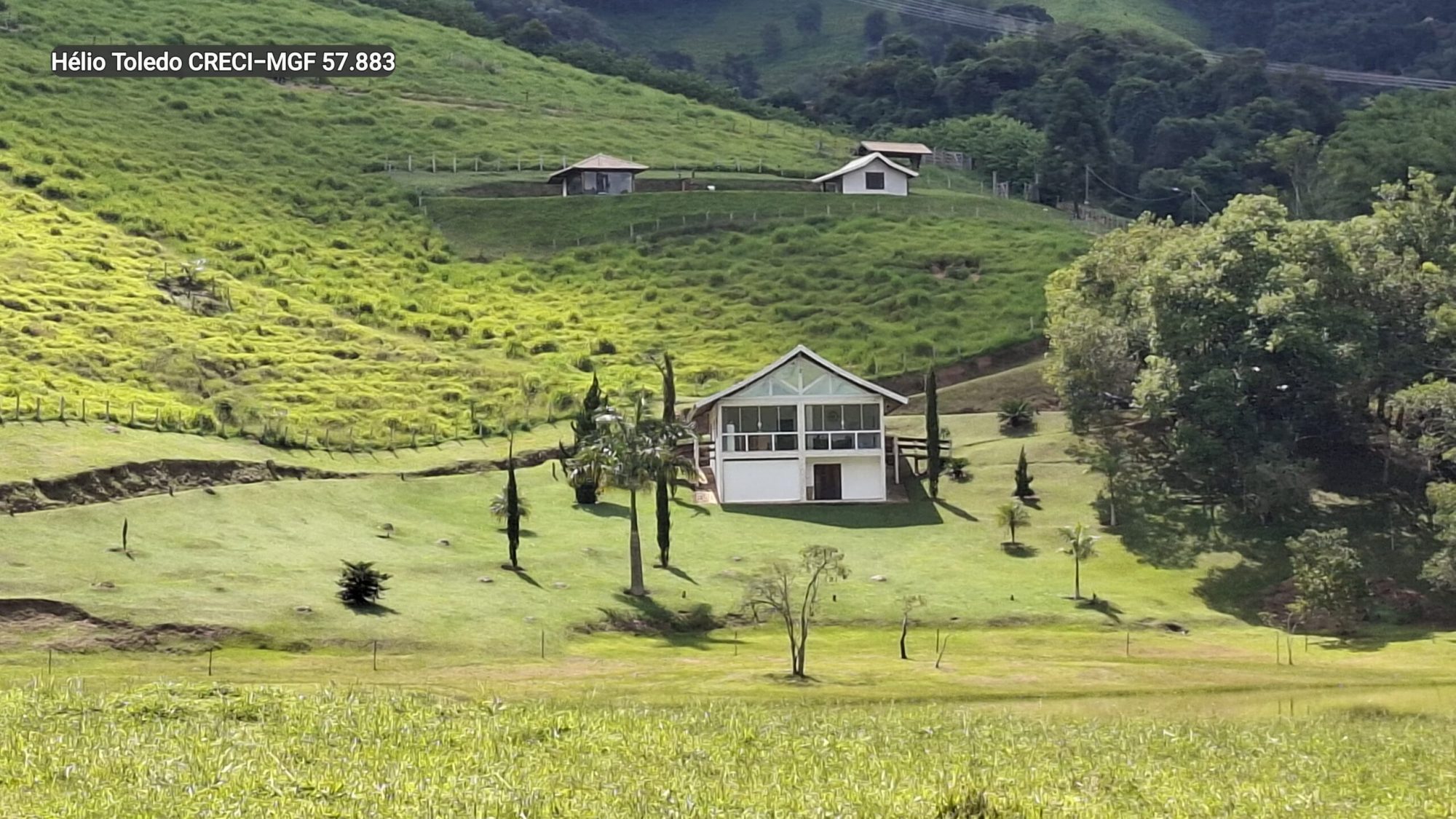 inbound7360247137515185263