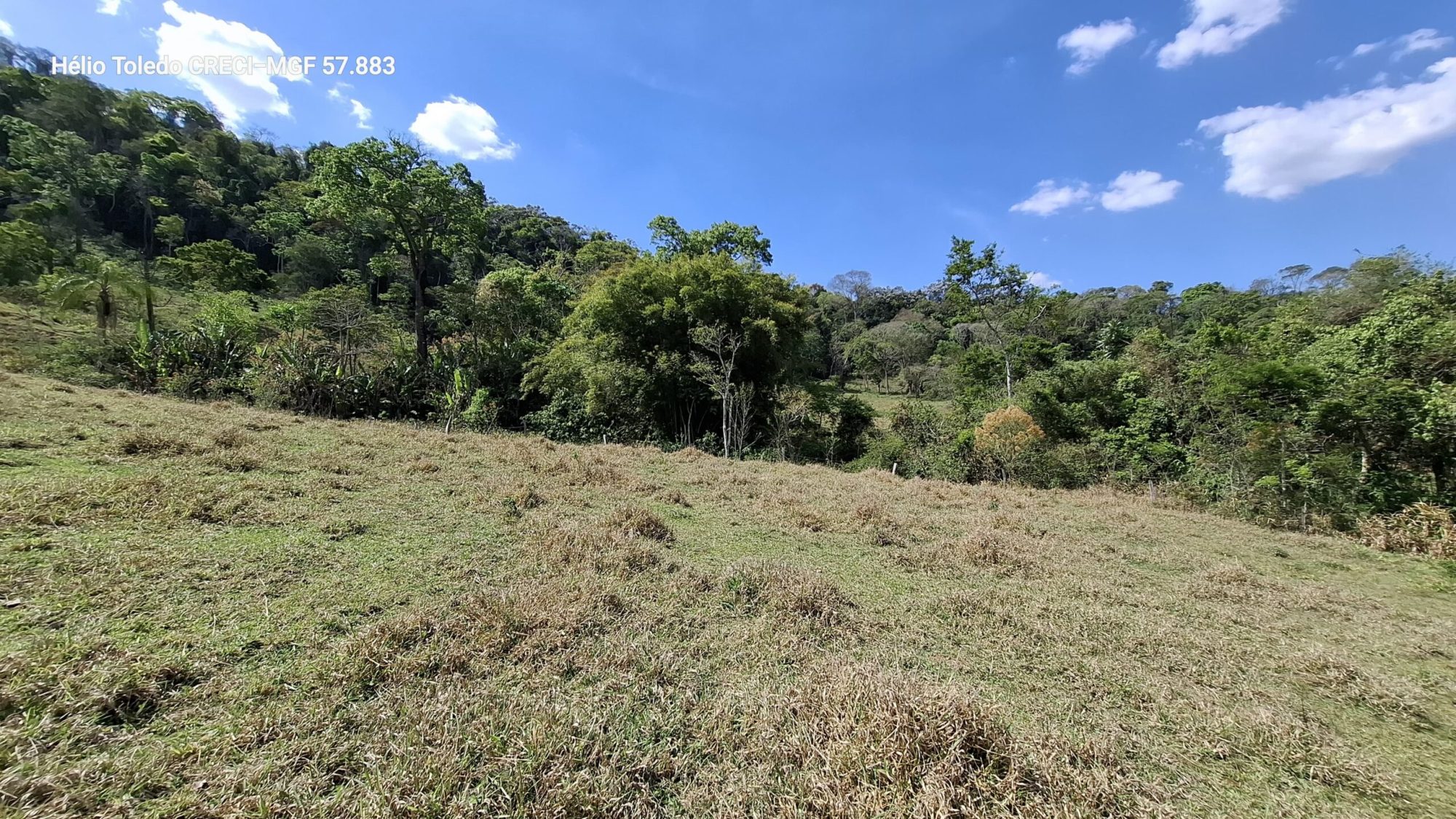 inbound7447210194113345959