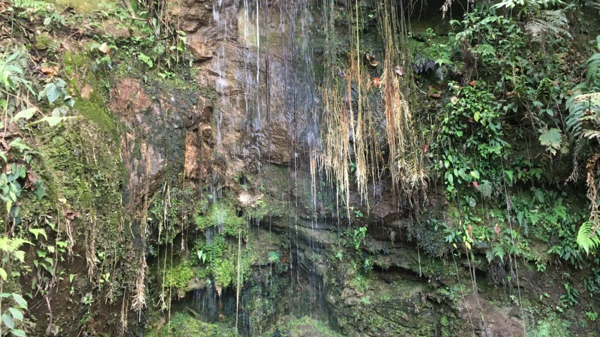 inbound7505069761536716836