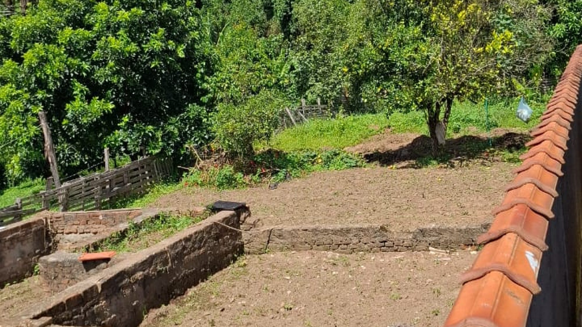 inbound7537028746773853759