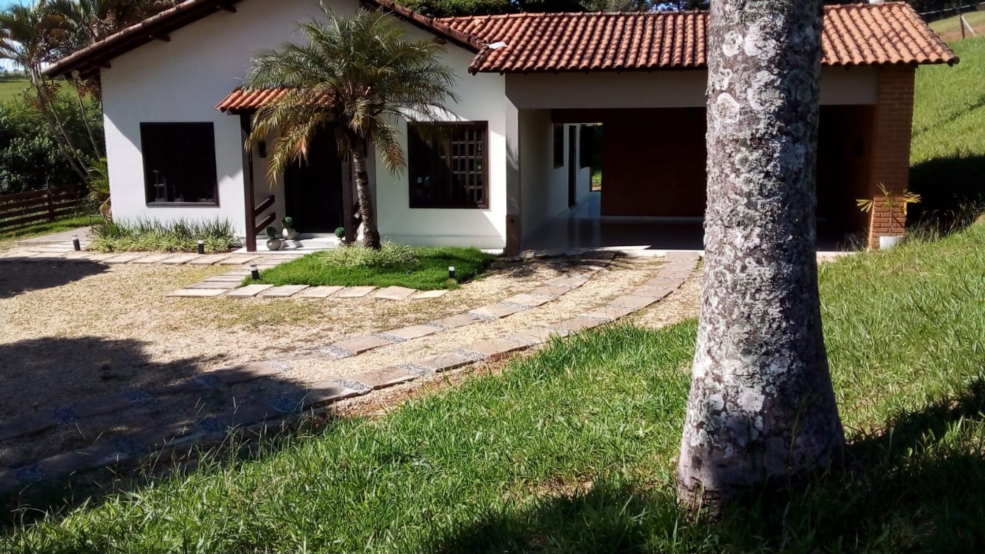 inbound7538270559433314956