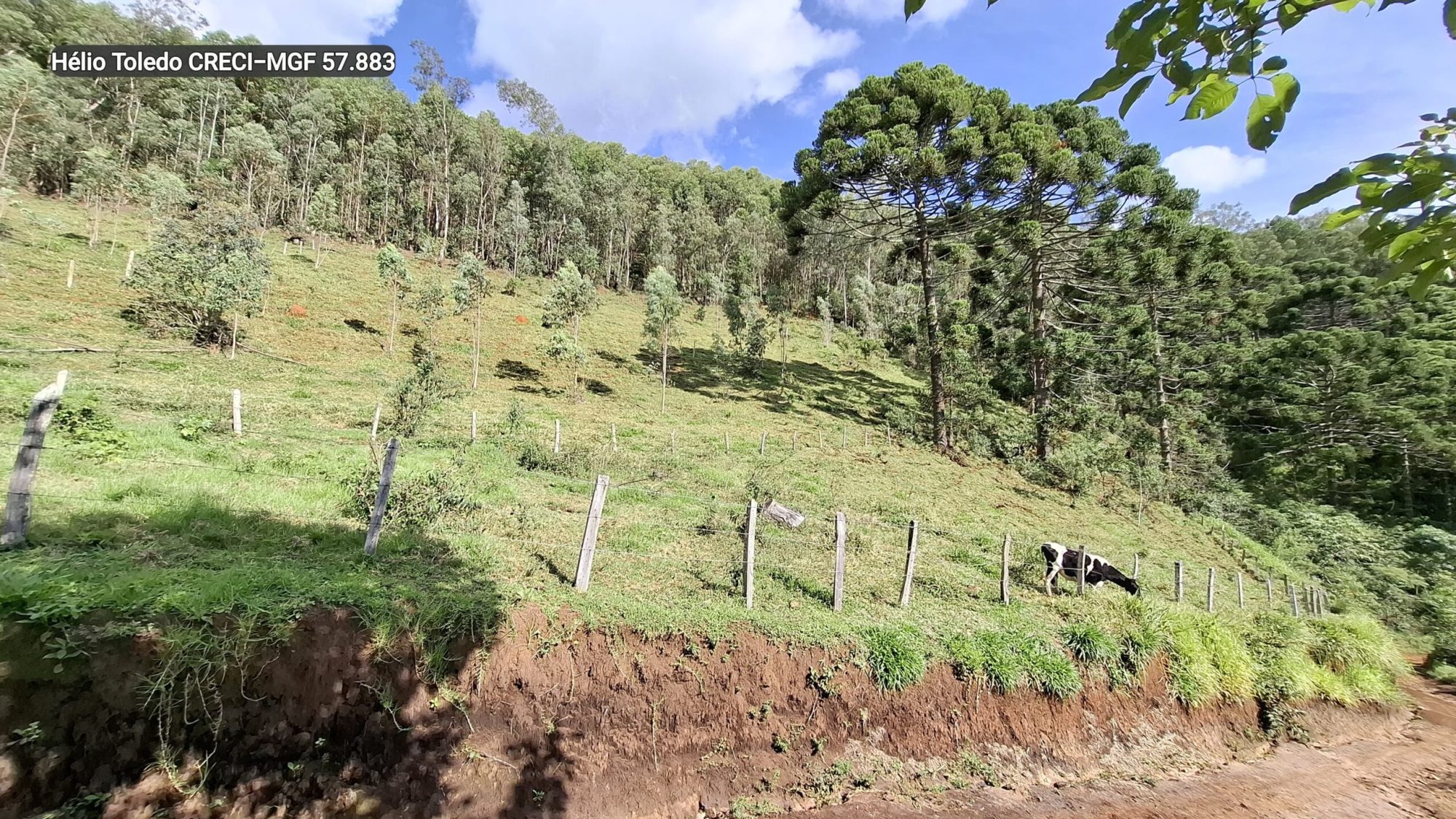 inbound7627408635766412166