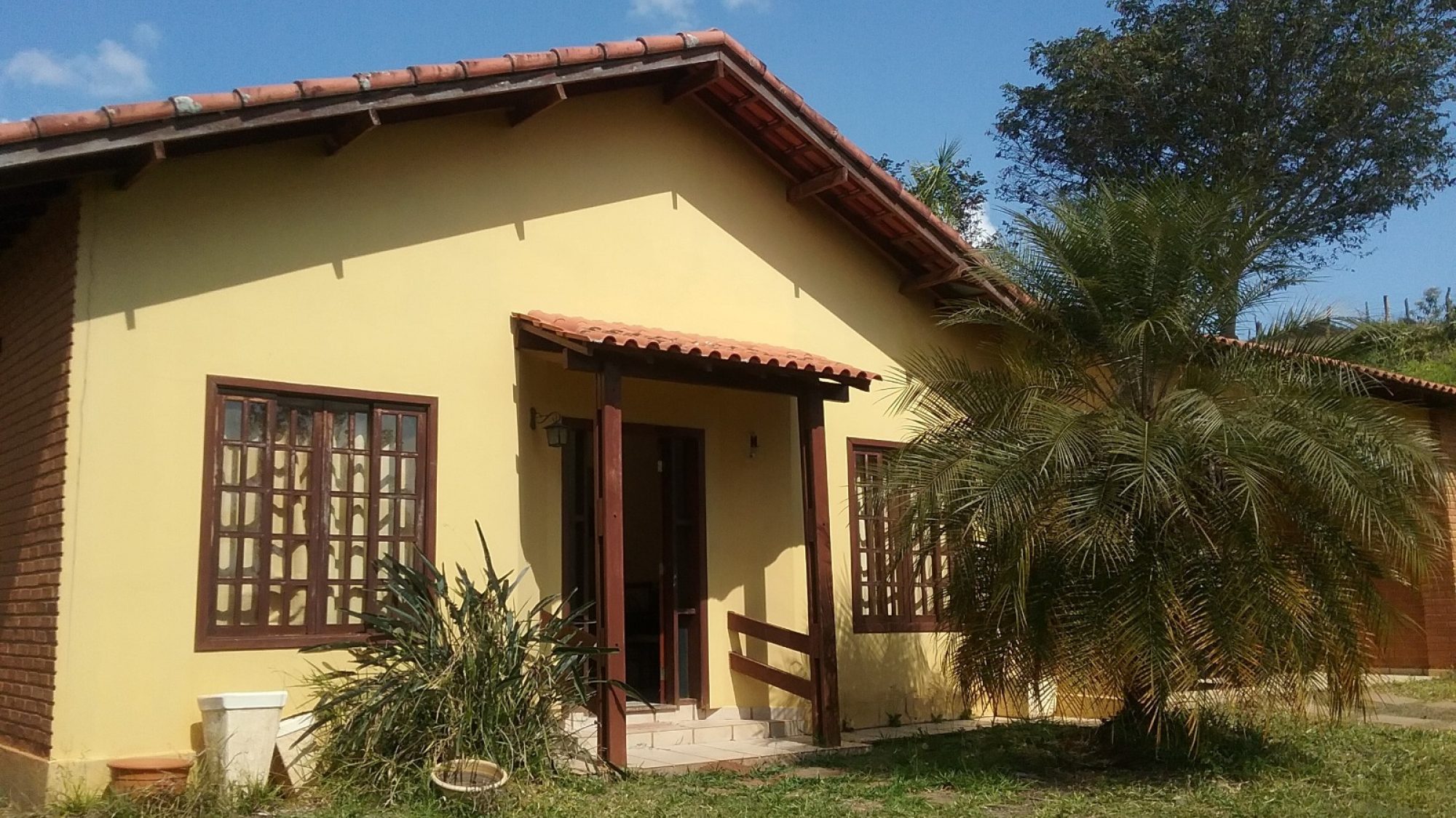 inbound7697386177369423488