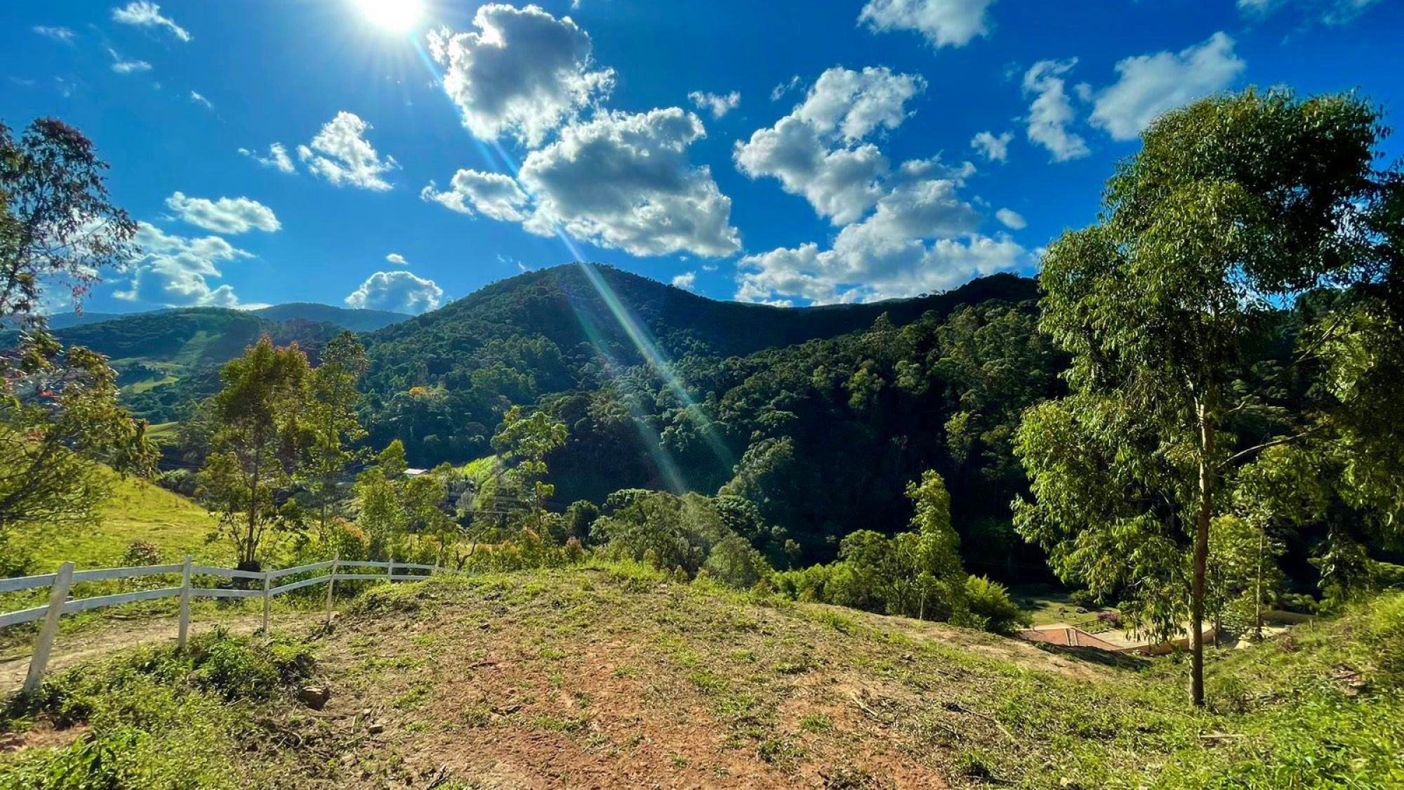 inbound8017855794275220101