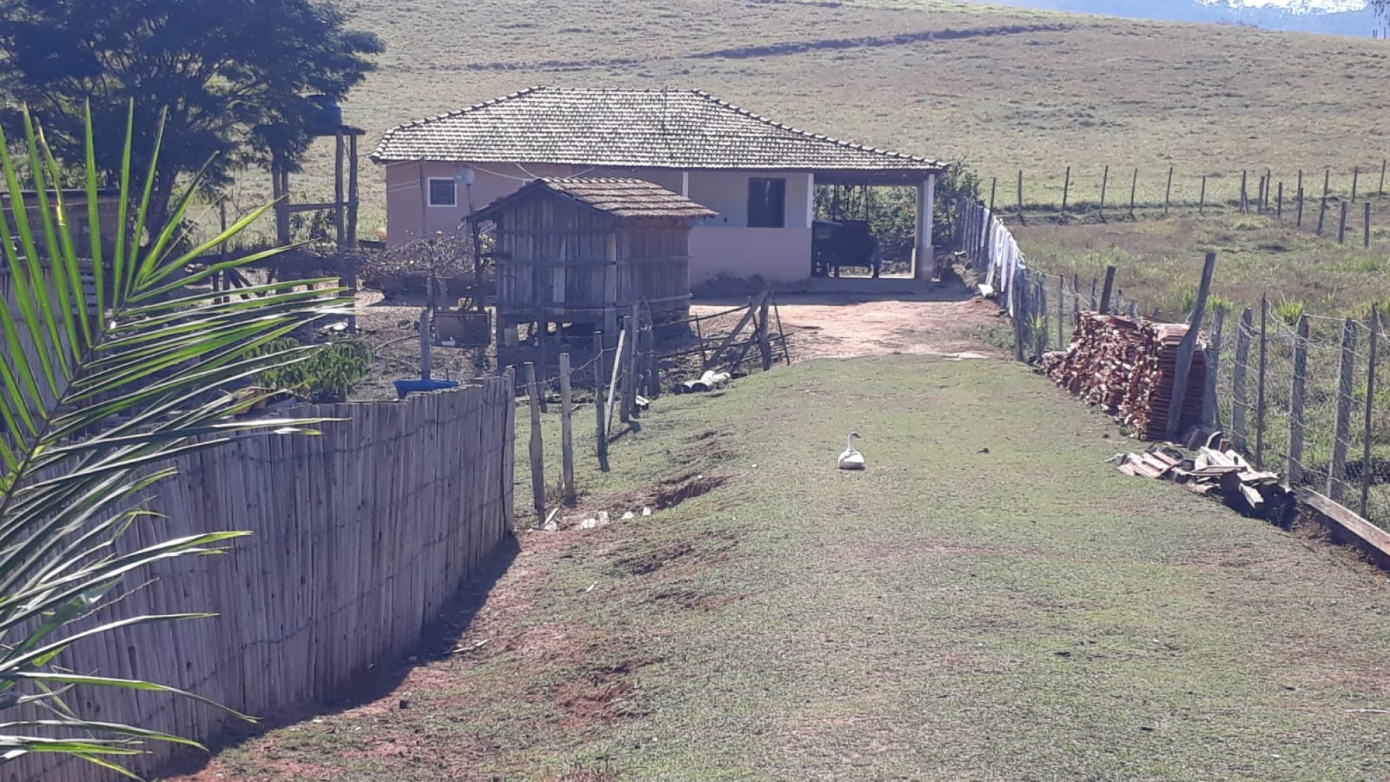 inbound8196505277991321654