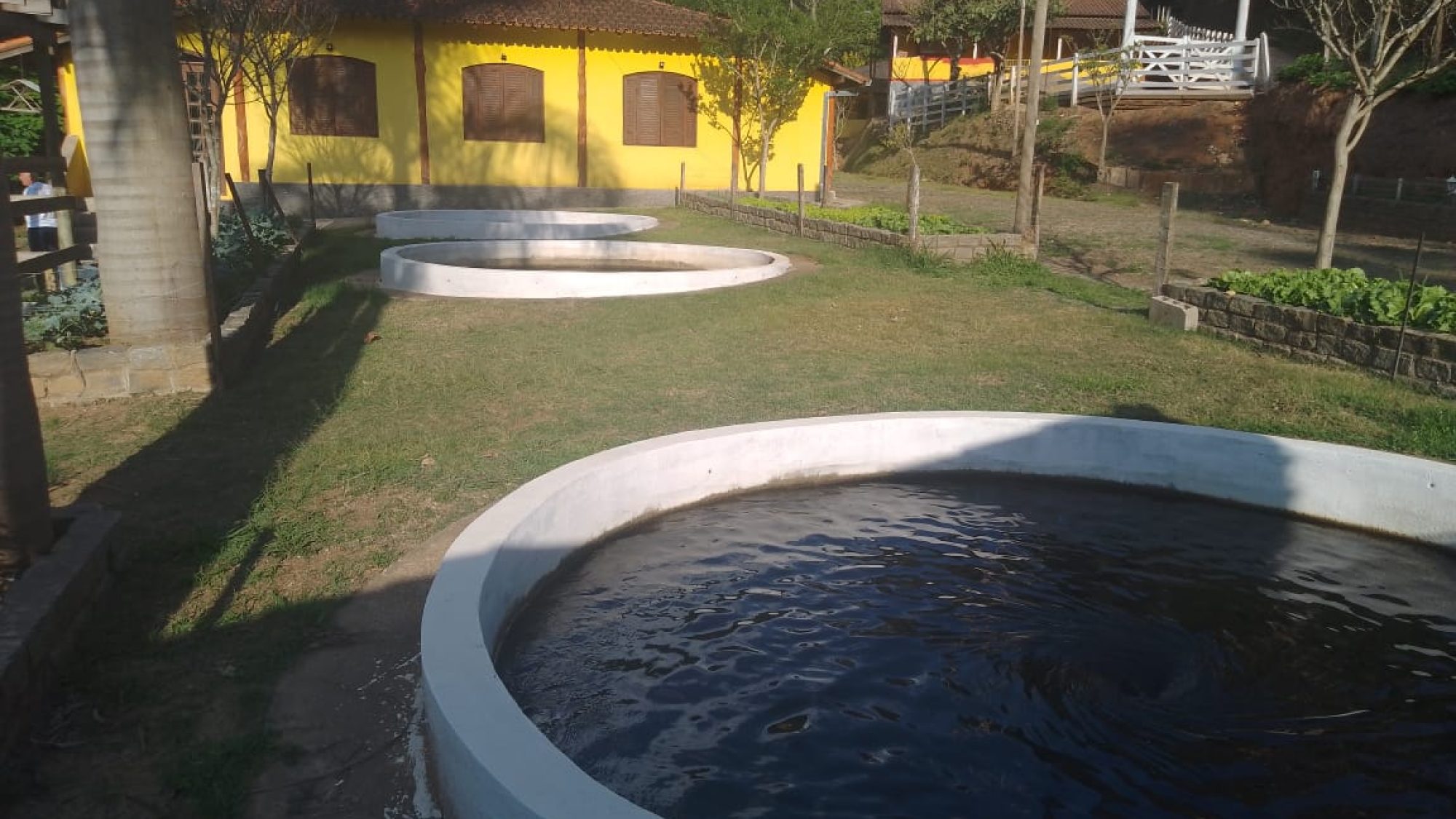 inbound847346992798941687