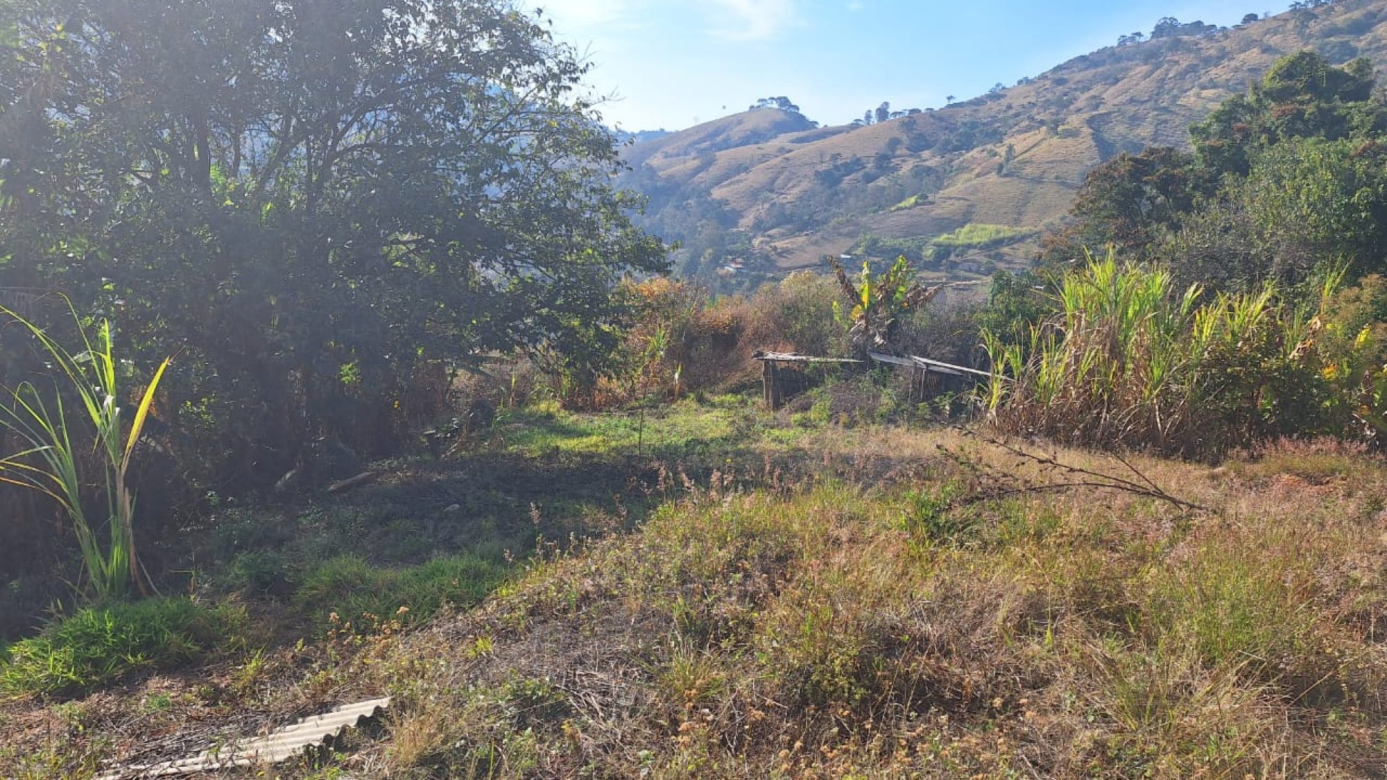 inbound8566282847642310873