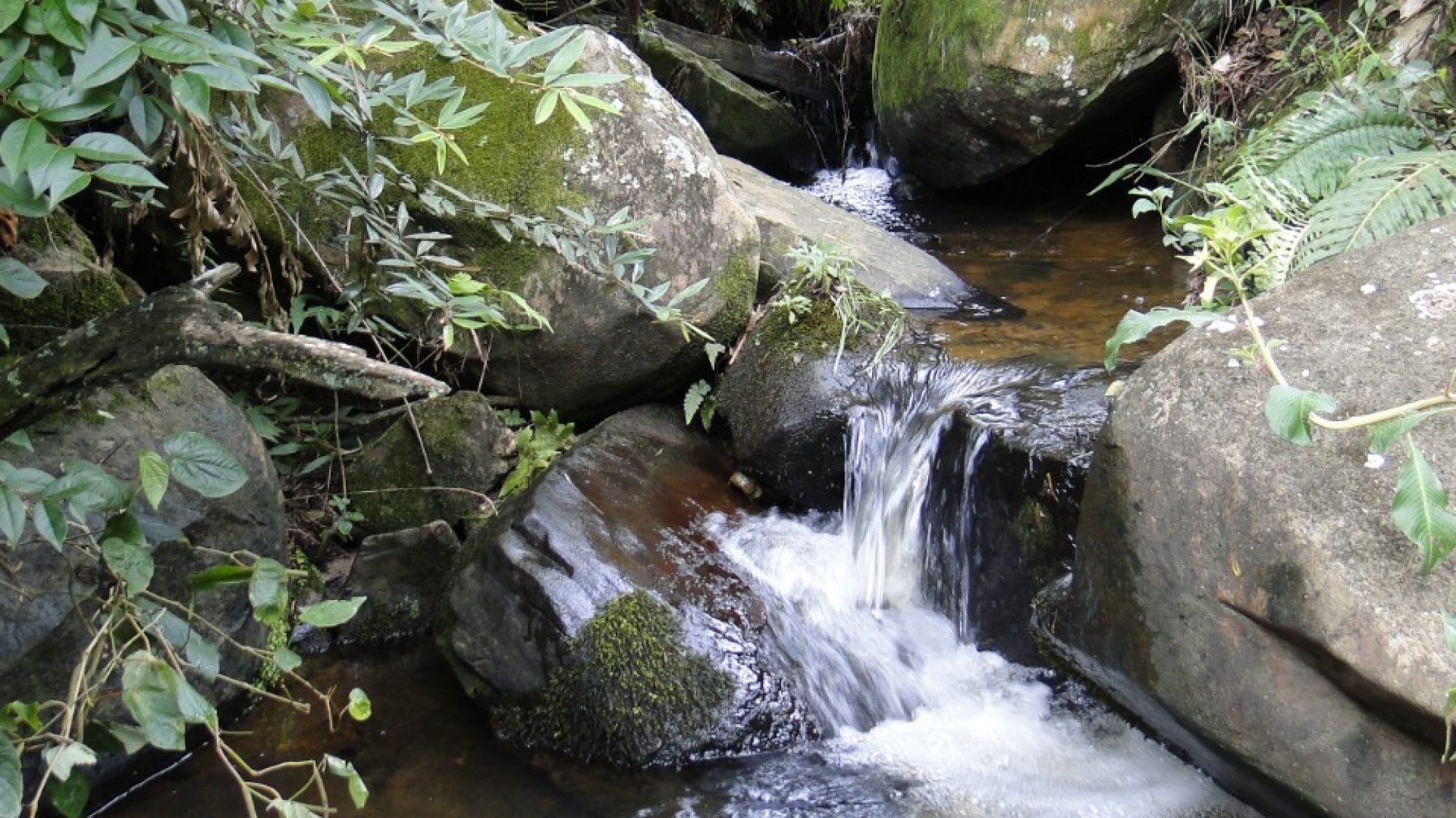 inbound8658692195926396182