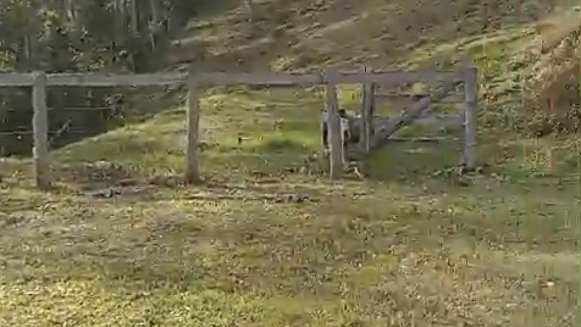 inbound8760724008595349869