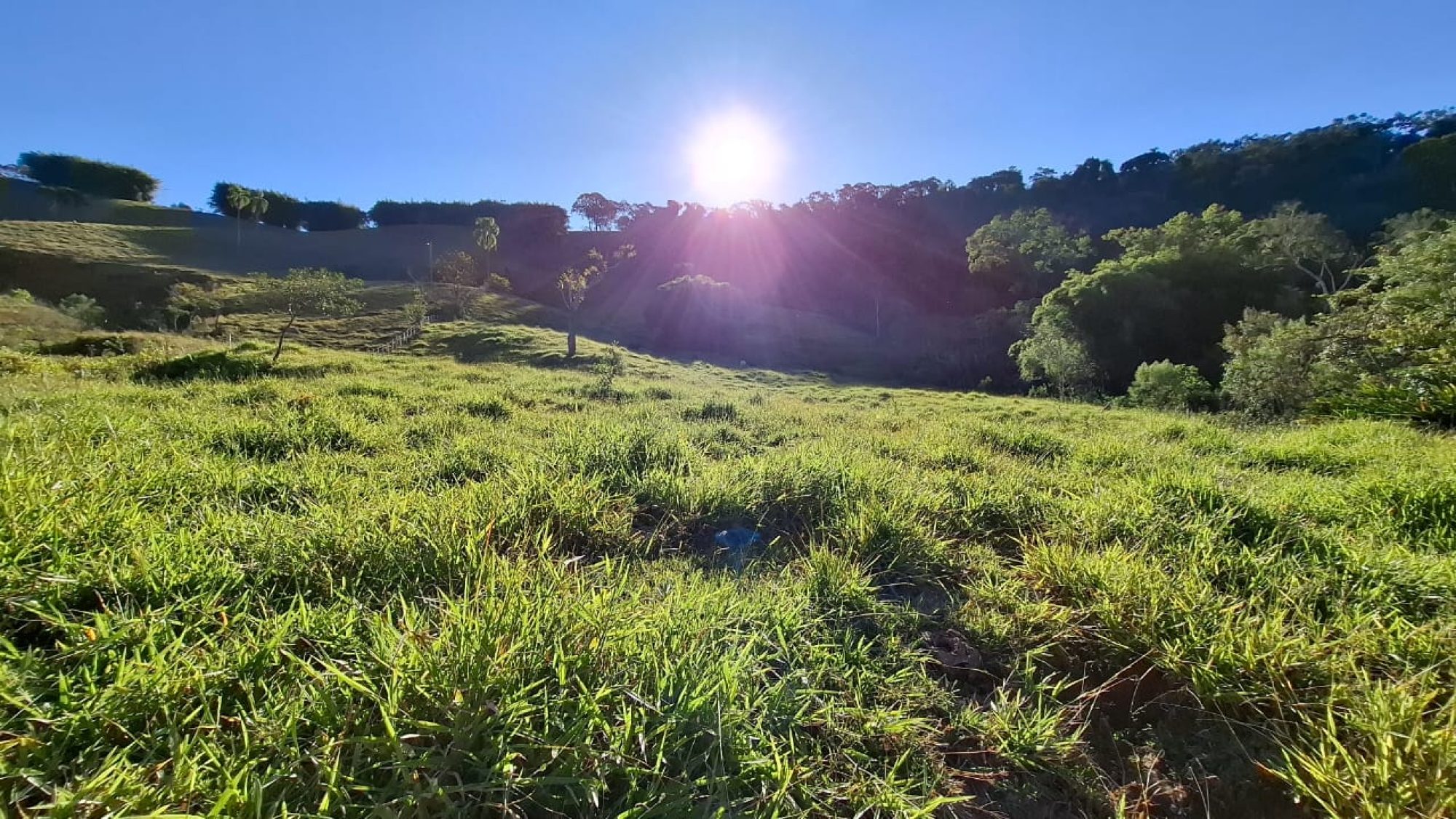 inbound8801249266339499555