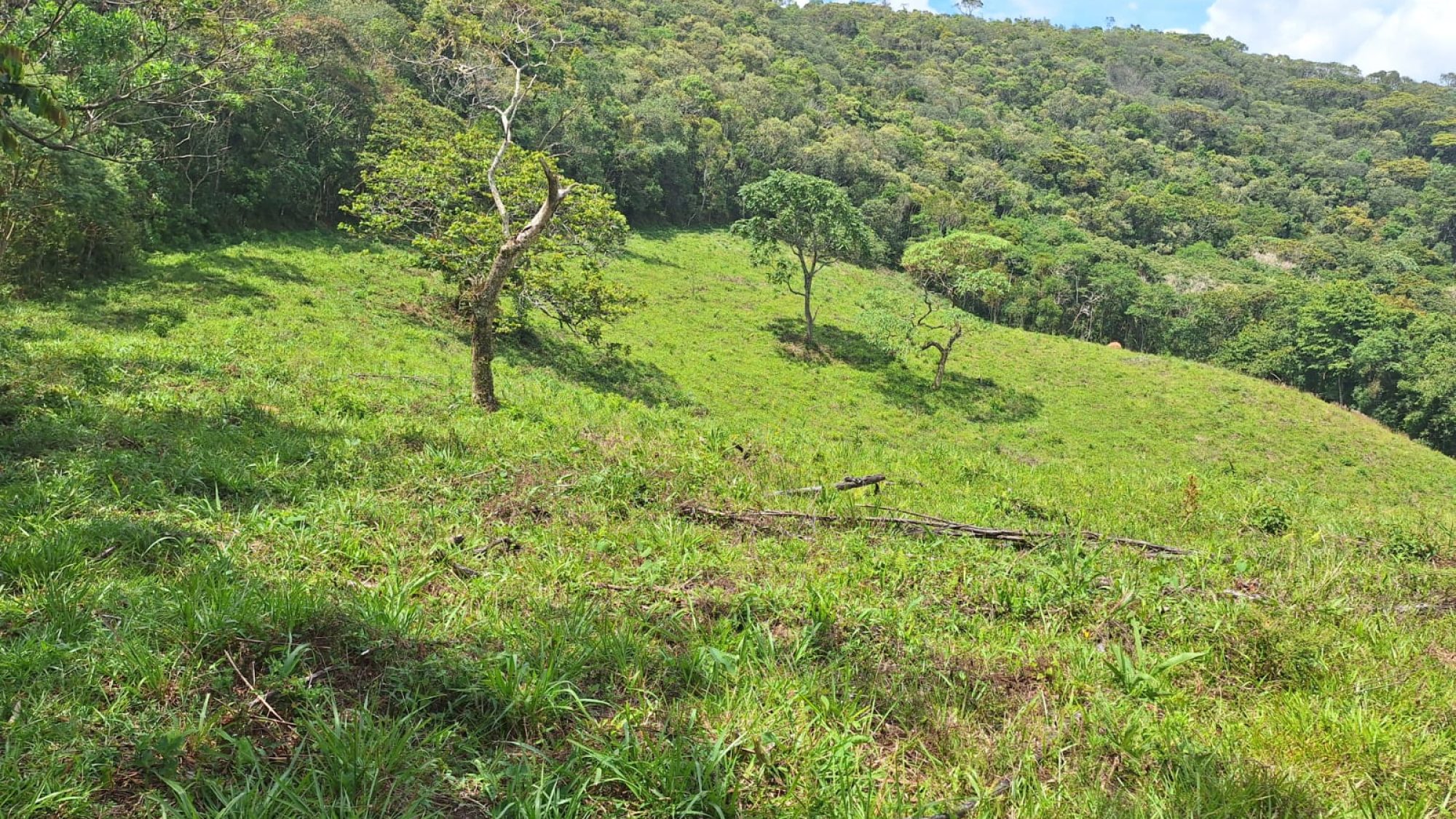 inbound8893820803002781234