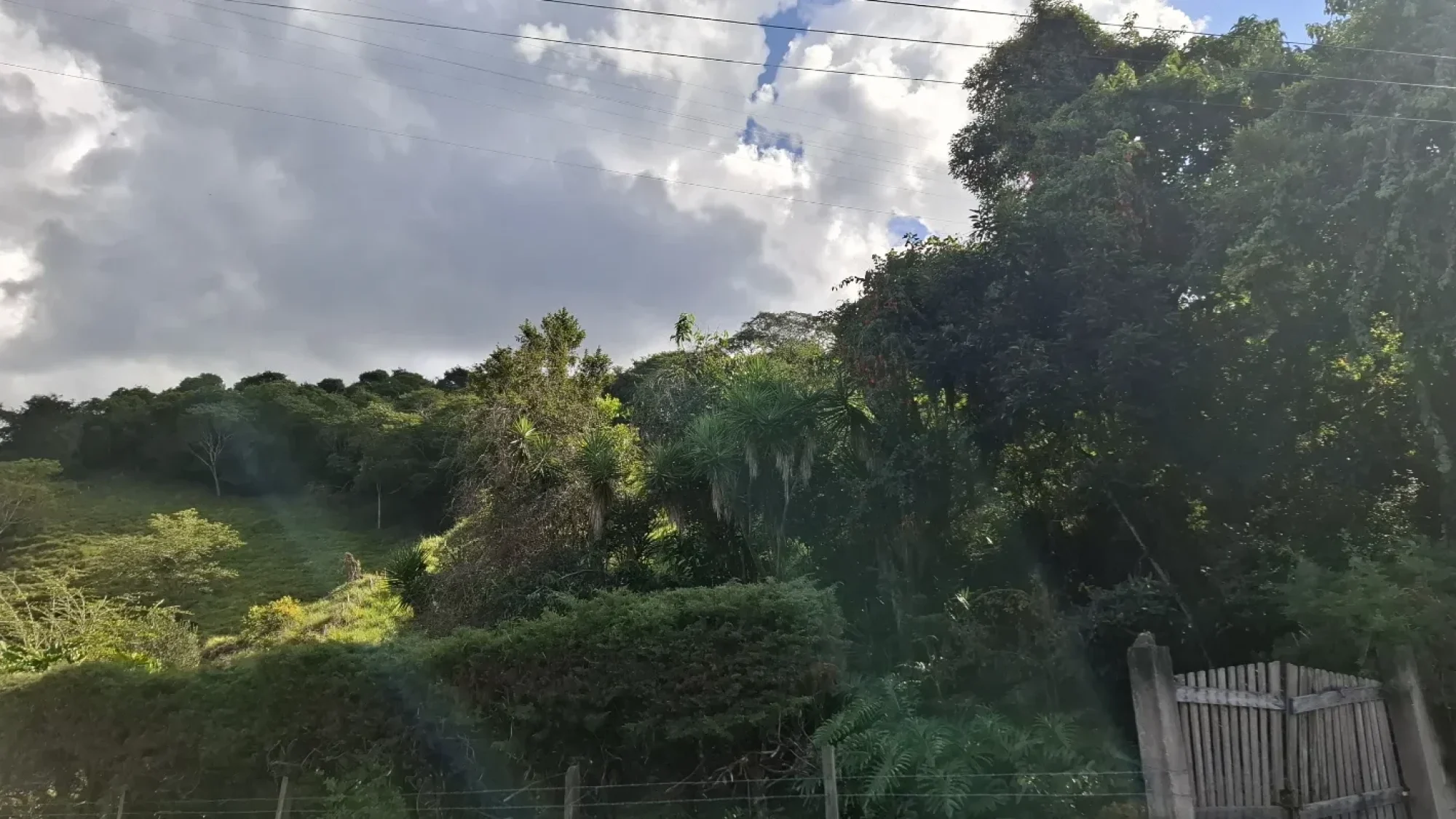 inbound9015444021270797973